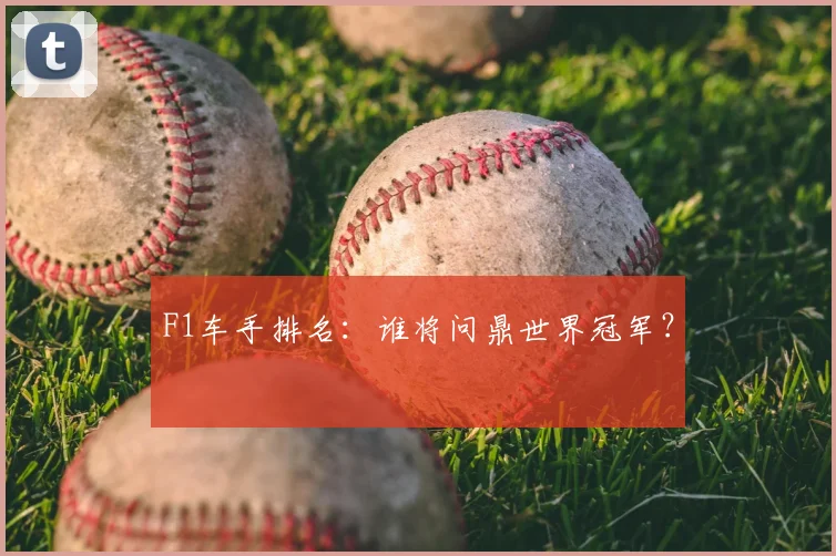 F1车手排名：谁将问鼎世界冠军？